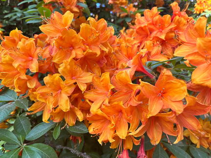 23-06-03 16-57-42 5808